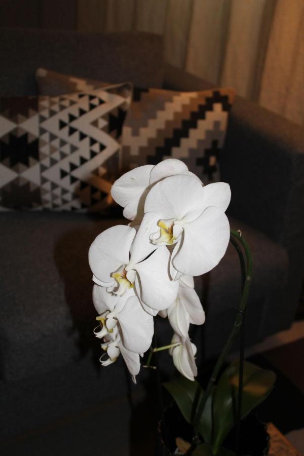 Sound Of Music World Appartement Salzburg Dış mekan fotoğraf
